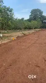 Club house swimming pool