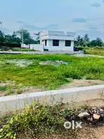 8cent house plot for sale in paravur area -6mtr road Frendge 5mtr road