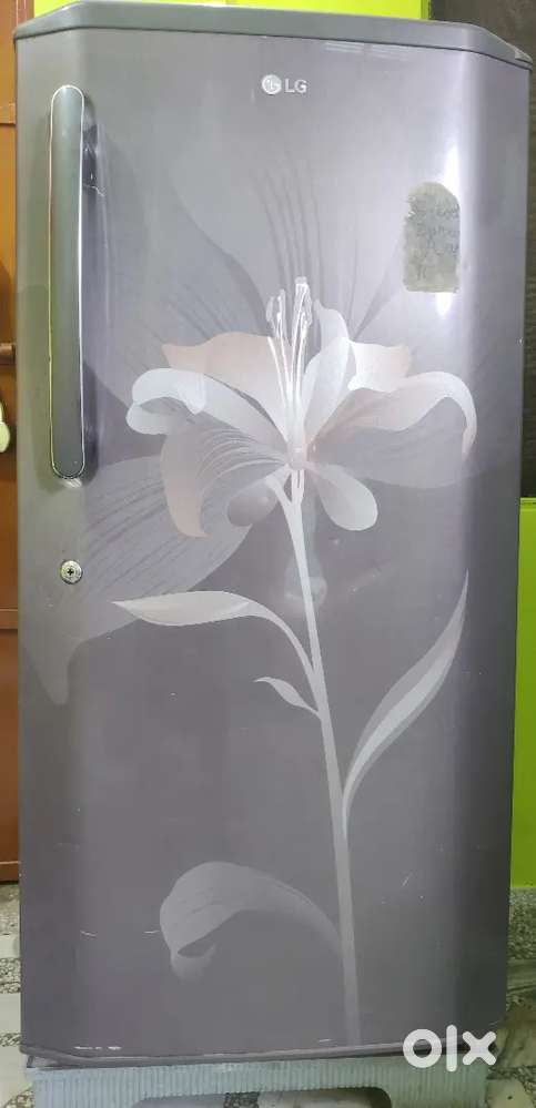LG 215 Ltr 4 Star Refrigerator Grey