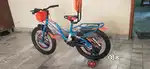 A ONE CYCLE  5 + year child