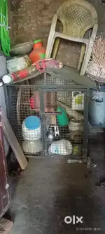 Dog cage house