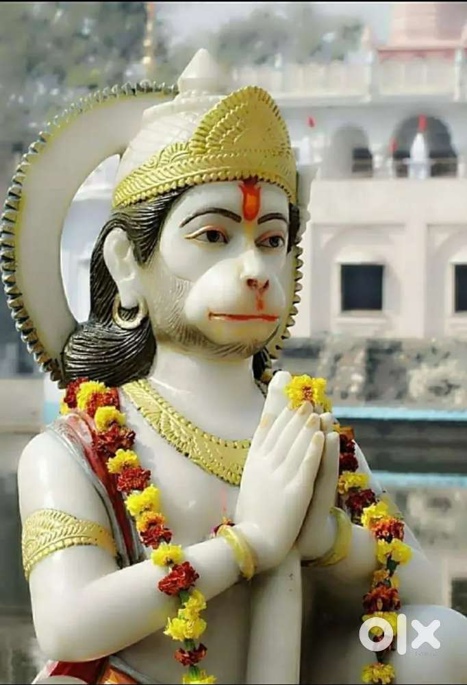 Loan / credit card emi collection executive required.