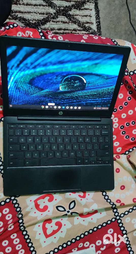 Ph laptop  chrome book