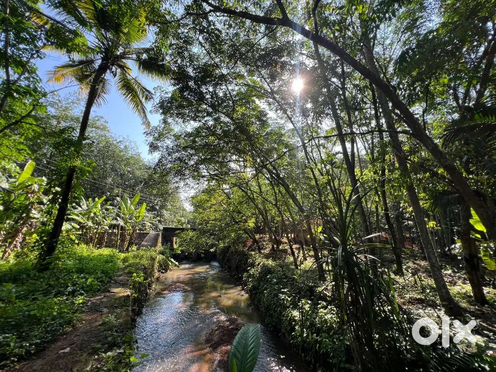 3 Acres River Flowing Land