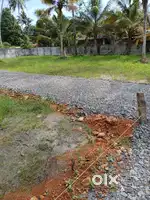 51 cents (full or in smaller plots) in Alappuzha