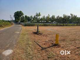 FARM LAND FOR SALE IN VANDIKARANUR PIRIVU THONDAMUTHUR