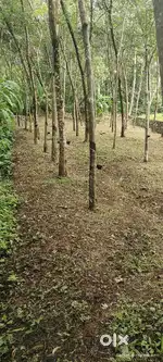 വെരി ഗുഡ് പ്ലെയിസ് റോഡ് ഫെസൽറ്റി ഉണ്ട്