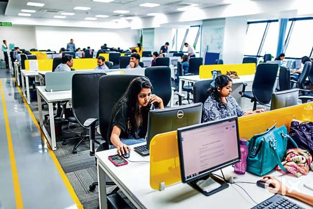 IT Jobs in preferred Sector