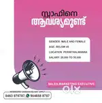 SALES,MARKETING EMPLOYEE