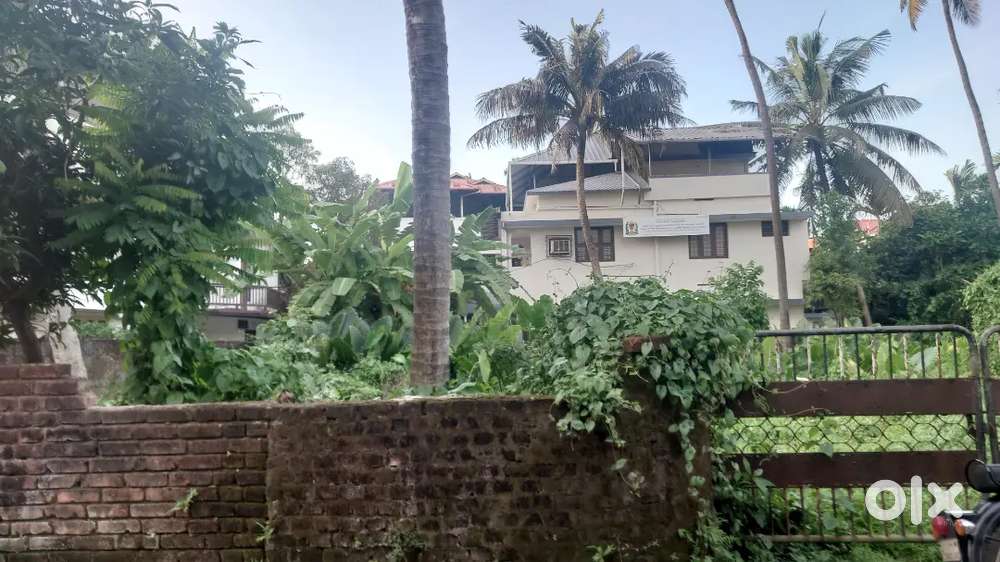 6 cents Plot Vytilla near Wellcare Hospital