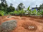 10 cent plot for sale..