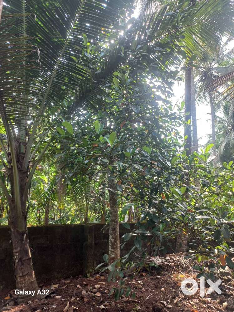 15 cent Residential Land