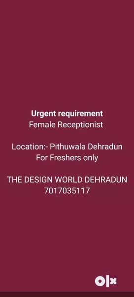 Urgent required good looking female Receptionist
