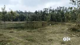 6.5 acres of Stream Attached property for sale in Sakleshpur