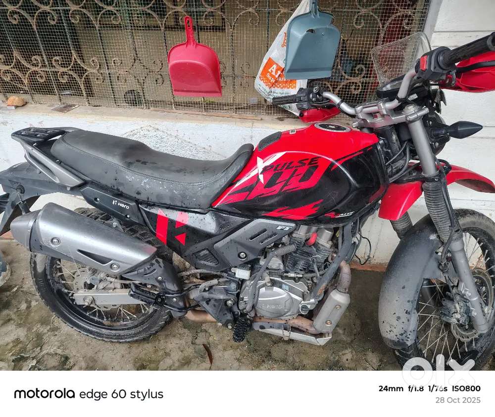 I will go to foreign