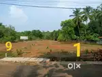 Plot for sale in Kunnamkulam-Akathiyoor