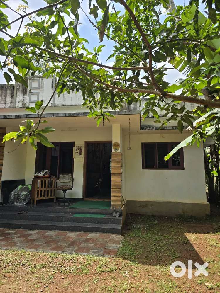 Land with House Near Hilite Mall, Thrissur