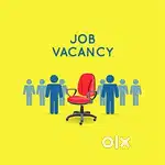 WANTED COLLECTION EXECUTIVES