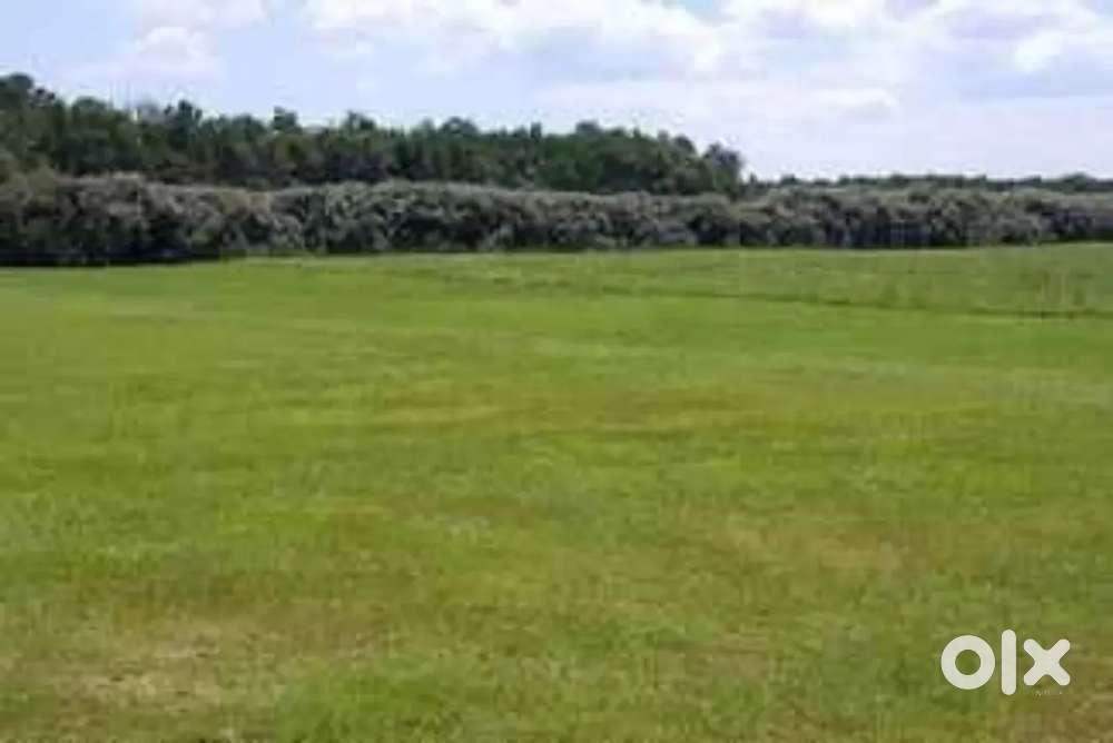 40 Acre Land  For Sale in Ernakulam