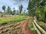 18 സെനറ്റ് സ്ഥലം വിൽപനക്ക്