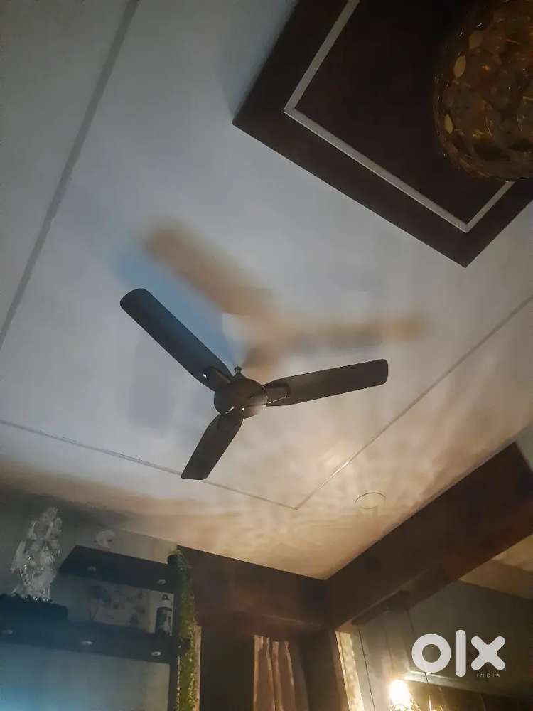 3 ceiling fans and one exhaust fan