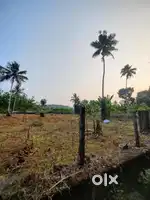 Land for Rent or Lease