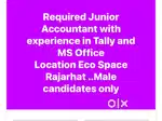 Junior Accountant