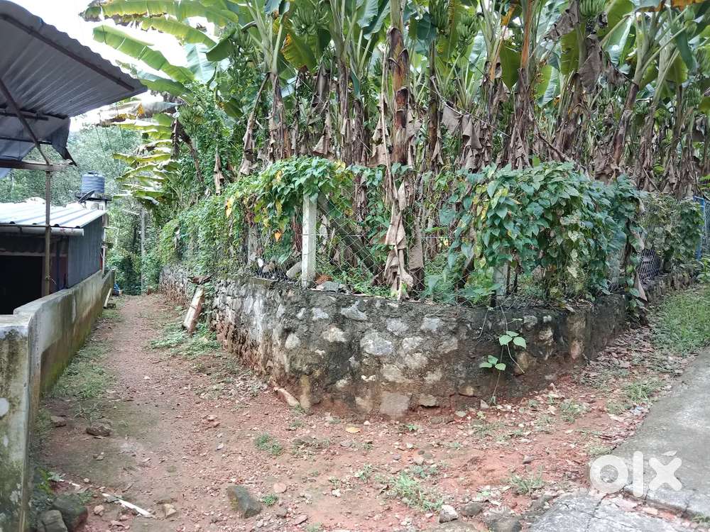 1 lakhs Per cent plot for sale