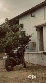 HIMALAYAN 411