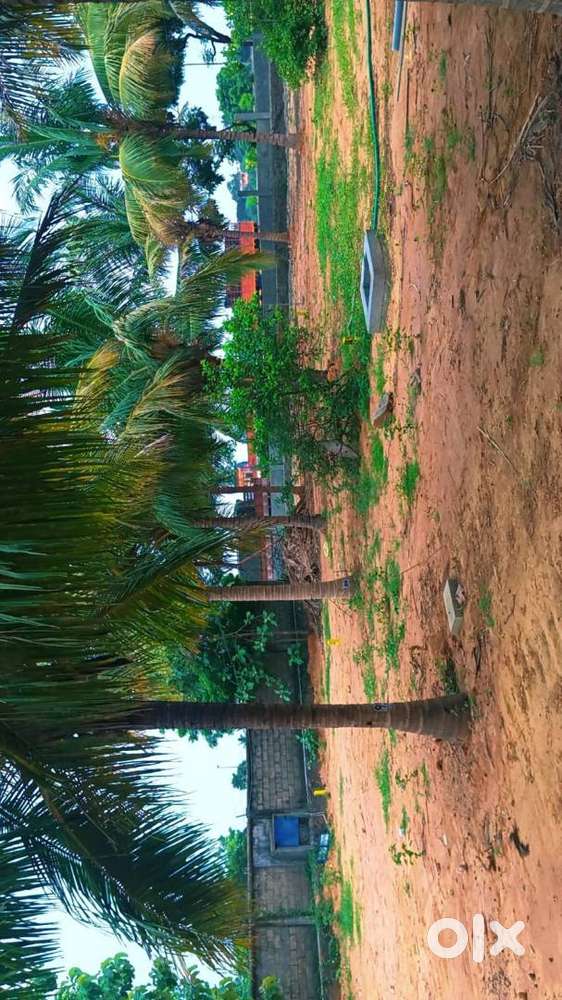 Residential Plots on Main Road @ Sholavaram
