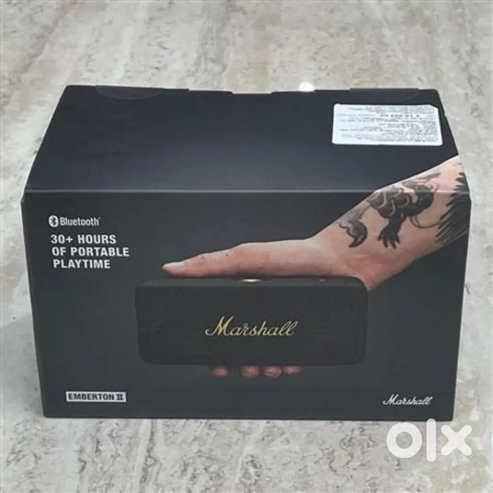 Software company pvt lmtd only female