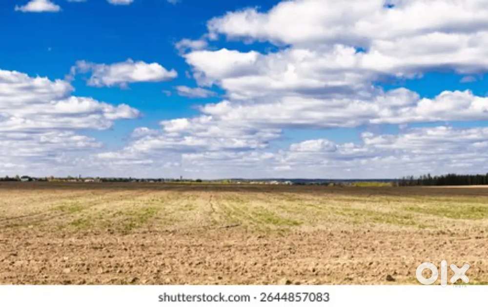 Mater jomi je kinte chaibe contack korun