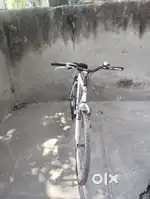 B twin white cycle