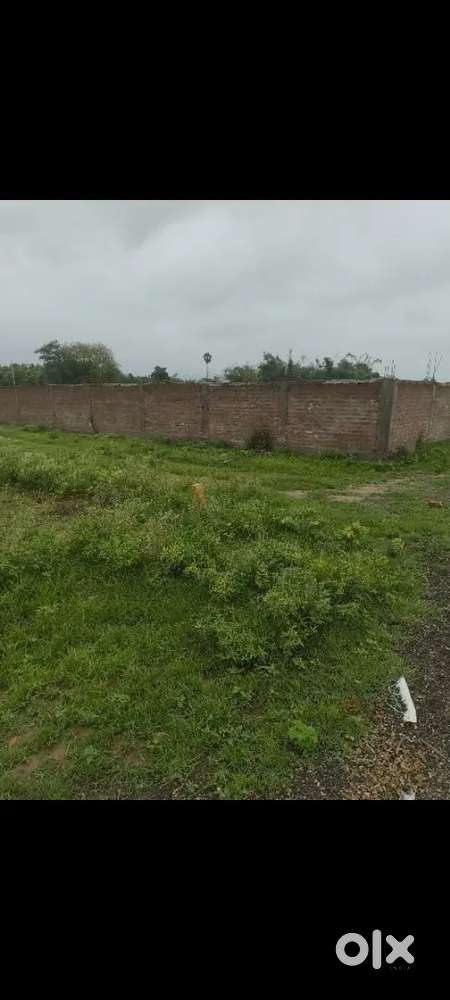 Location kanhauli golamber se aage bihta sarmera road per on highway.