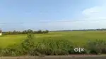 AGRICULTURAL LAND BUT SELLING FOR PLOT LAYOUT PURPOSE