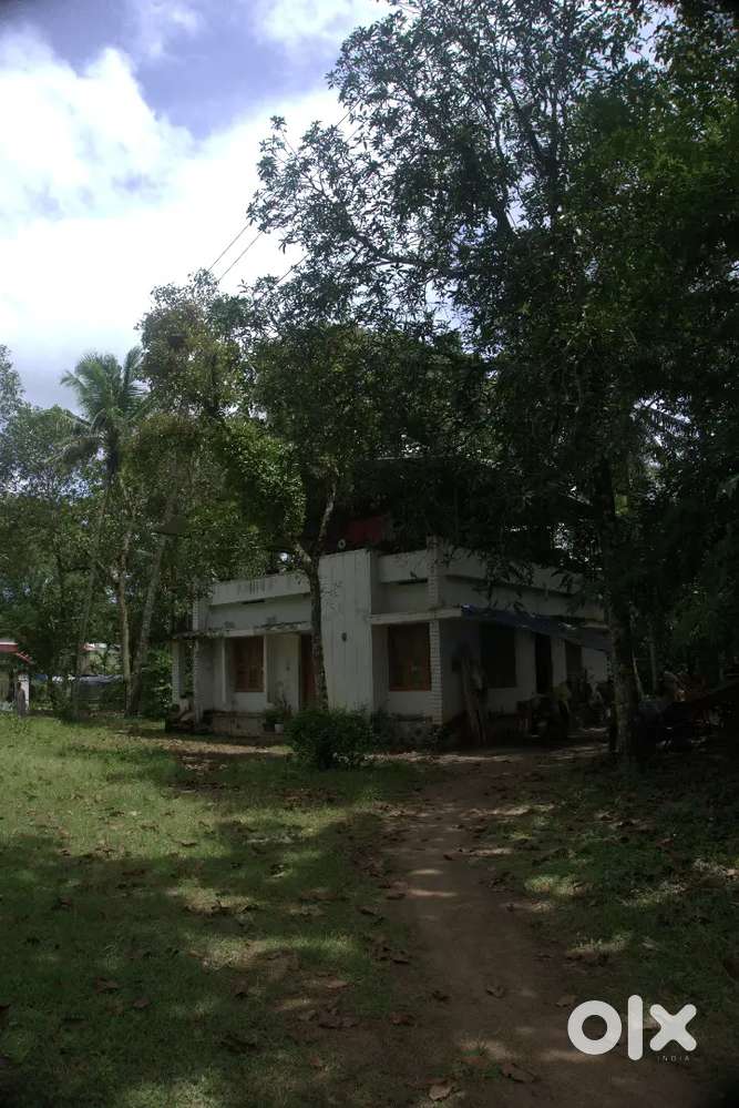Mohan's villa