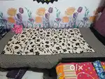 Need female roommate
