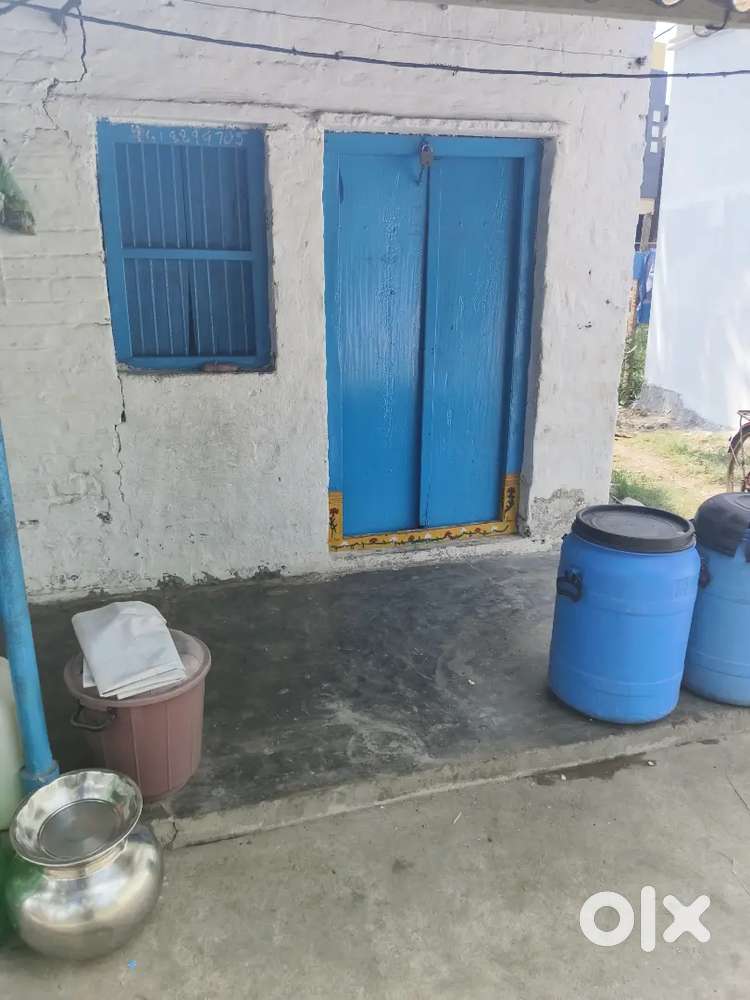 Looking for decent family or bachelor