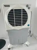 All in Good Condition