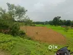 बालकपोडी में 33 डिसमिल जनरल जमीन बेचना है