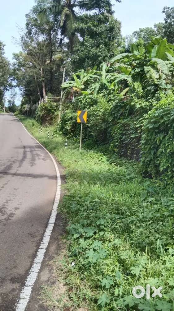 1 Acre land for sale in Thambalakad,Kanjirappally