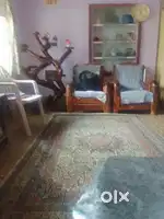 Job for  boys