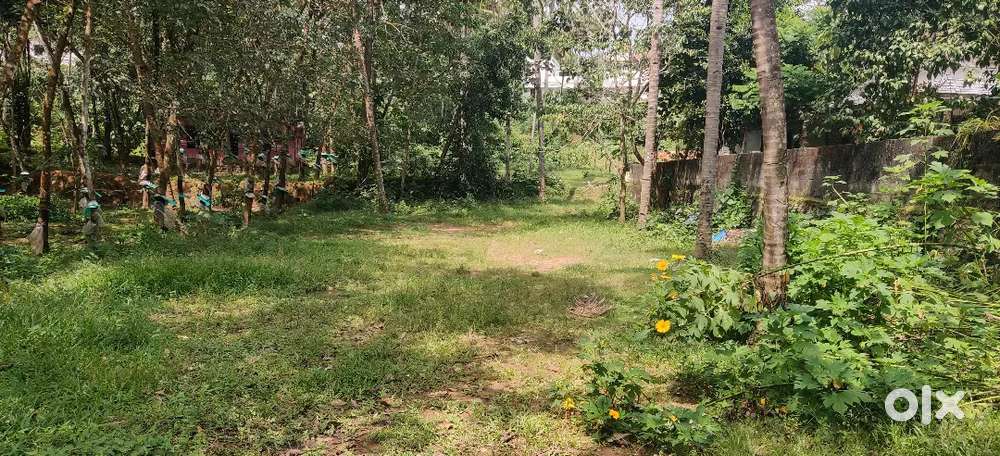 29.5 സെന്റ് ഭൂമി വിൽപ്പനയ്ക്ക്, മുളവന (പള്ളിക്കമുക്ക്)  റോഡ് ആക്സസ്