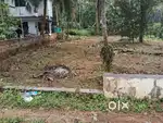 കോട്ടക്കൽ മദ്രസ്സപടിയിൽ 5, 6, 11 സെന്റ് വീതം വില്പനക്ക്