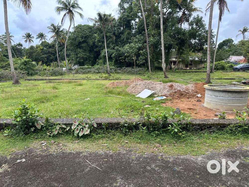 8 cent House Plot for Sale at Moozhikkulam, Chettikulam