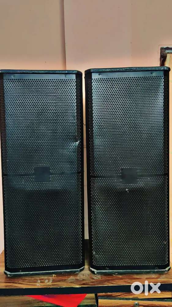 12 inch dual speakers