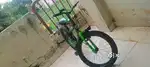 Normal bicycle
