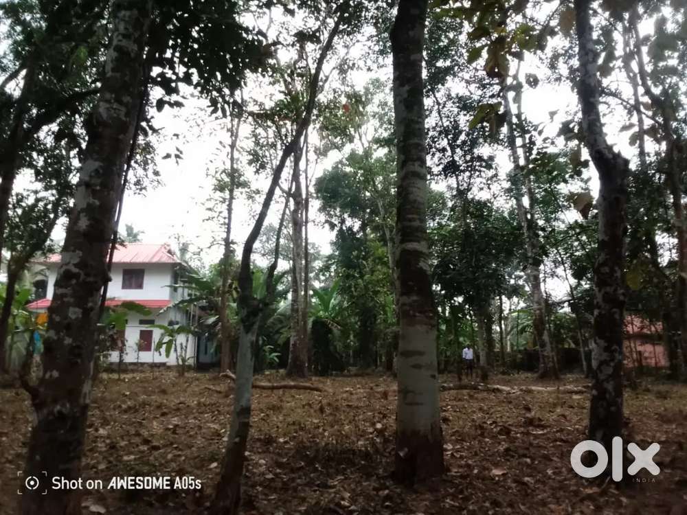 A spacious 18-cent per cent 2.5 lakhs negotiable