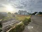 DTCP approved plots near Pappampatti Junction
