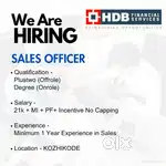 SALES OFFICER